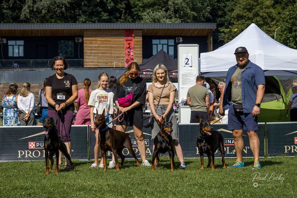 Me with Nyx Night Goddess deGV, Ksenia and Iryna Rymar with Elvenrose deGV, Yulia Vasinuk with Mona-Liza, Paul Lucky with Charivnitsa Zlata deGV  Me with Nyx Night Goddess deGV, Ksenia and Iryna Rymar with Elvenrose deGV, Yulia Vasinuk with Mona-Liza, Paul Lucky with Charivnitsa Zlata deGV